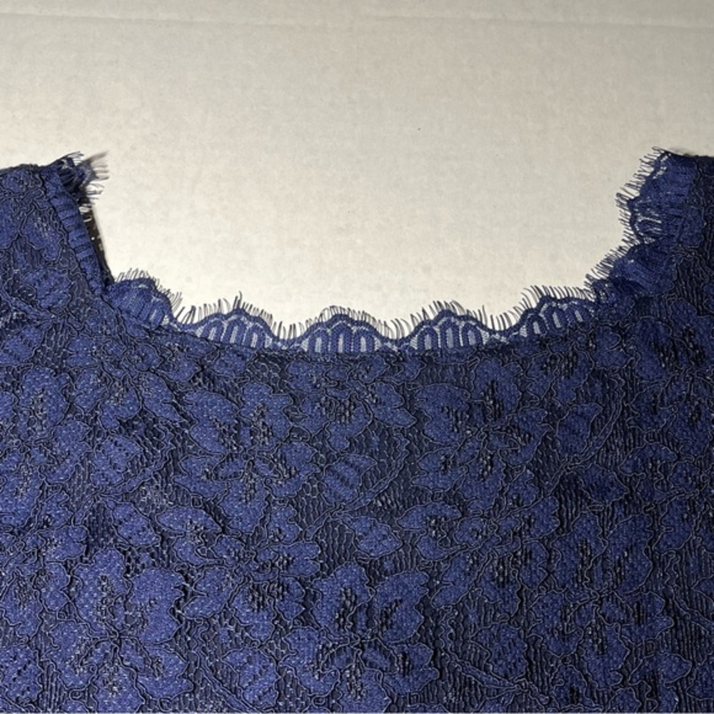 Diane Von Furstenberg Zarita Lace Midnight Blue Sheath Dress Size 10 - Picture 13 of 15